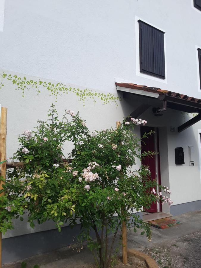 Le Giuggiole 5 Posti Letto In Una Casa Ricca D'Atmosfera Farra d'lsonzo Exterior foto